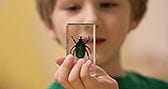 Kindergarten Science Activities