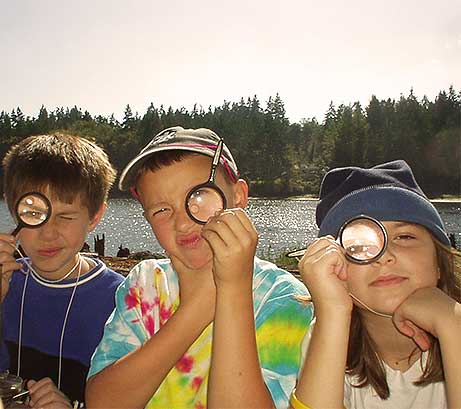 summer family activities