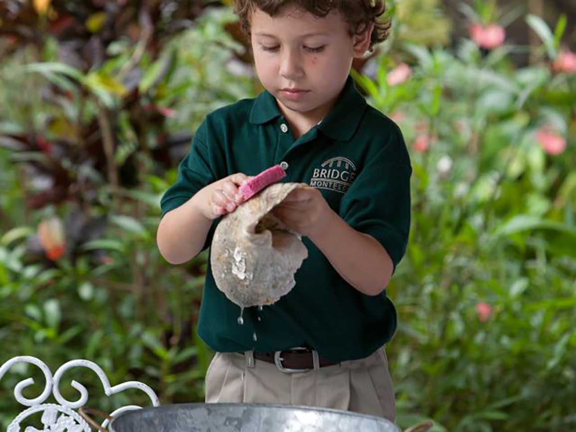 Preschool boy scrubbing a shell