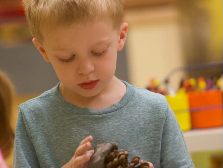Child looking down at pine cone