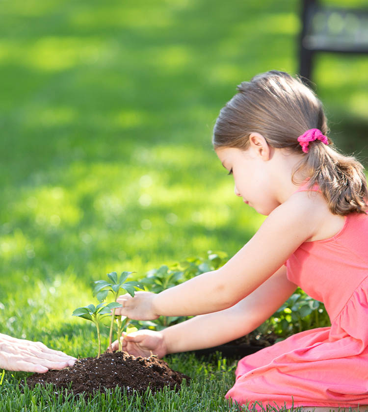 Preschool girl planting in the dirt