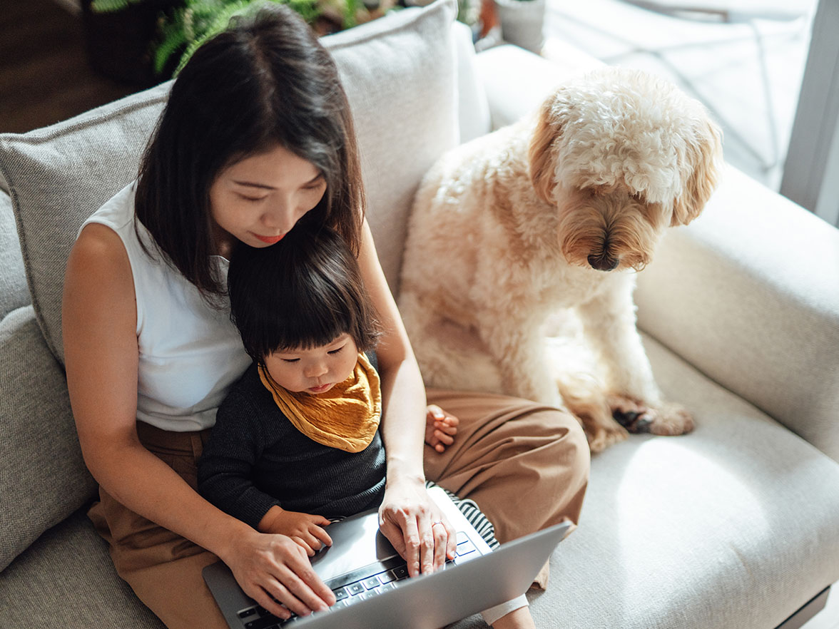 Working mother on laptop with child on lap and dog