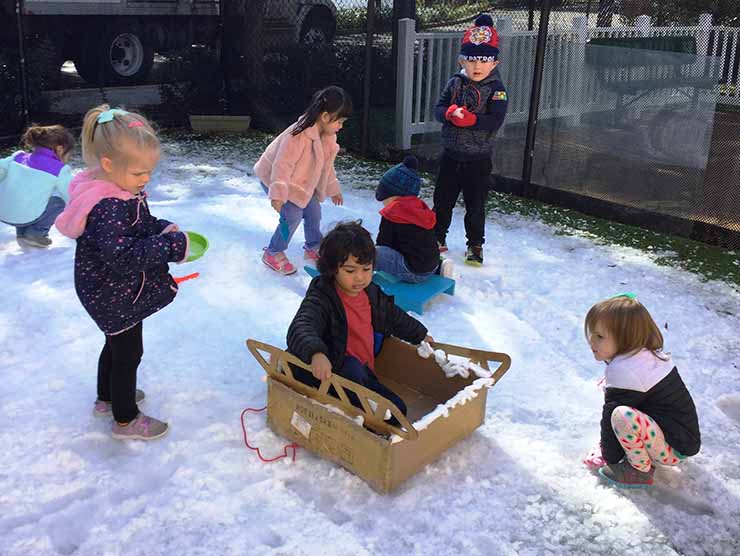 Sledding Group