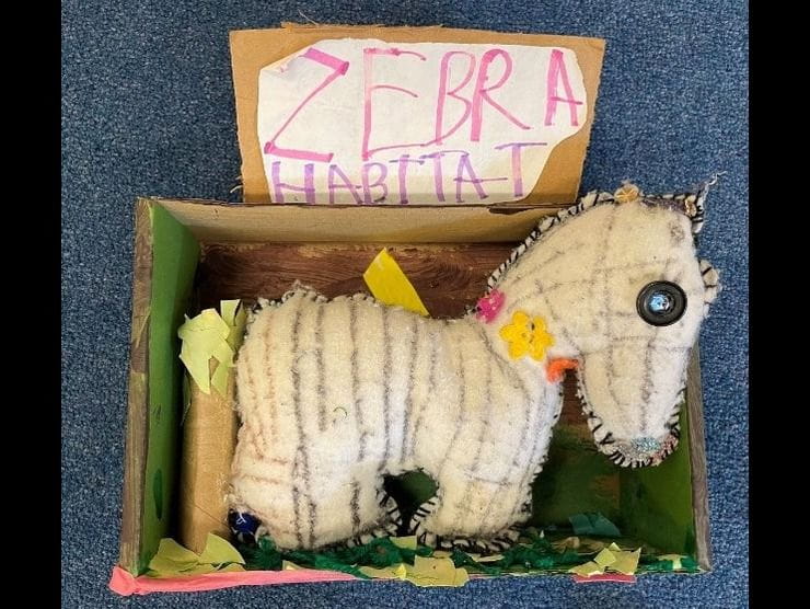 zebra 