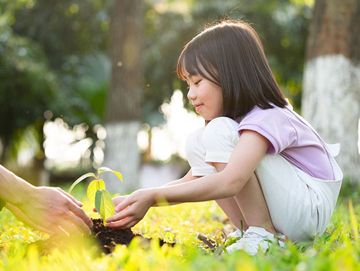 Young girl planting a tree