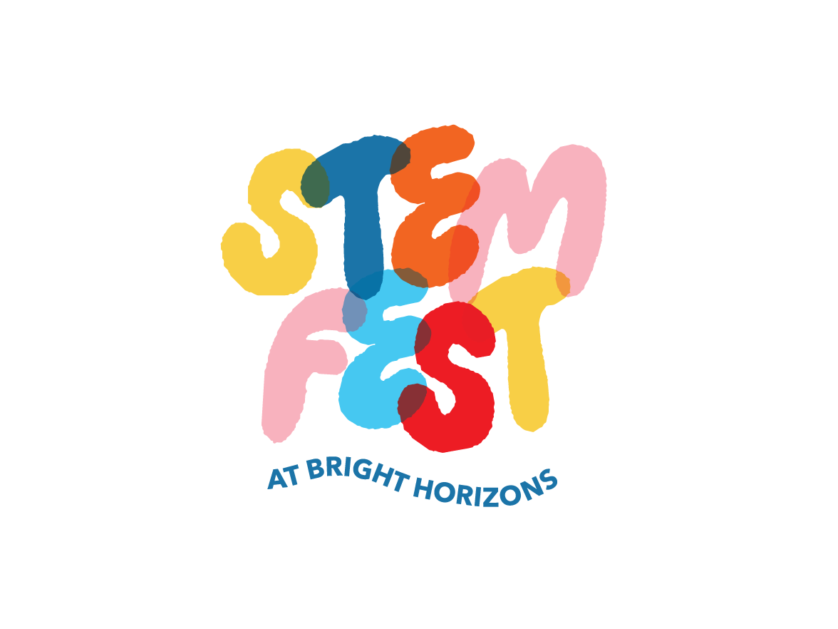 STEMfest image