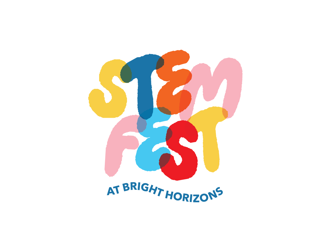 STEMfest image