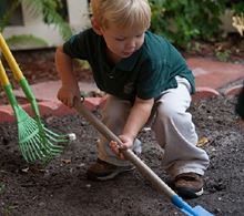 Family Tradition Ideas