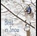 Best in Snow