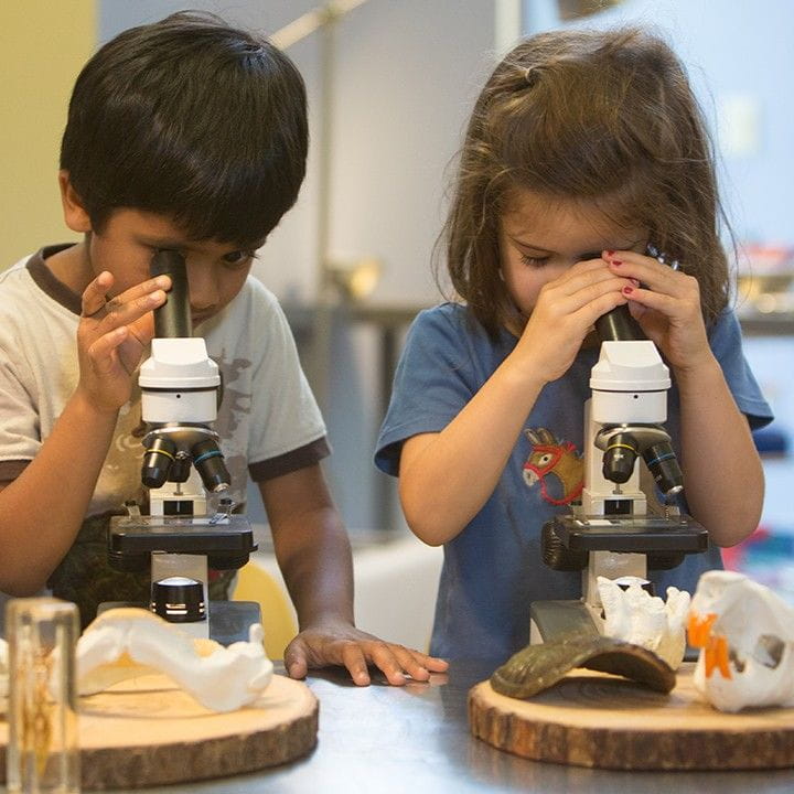 A boy and girl using microscopes in a classroom. 