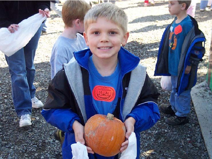 Halloween candy alternatives