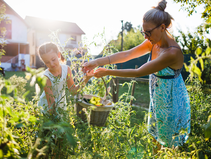 Summer Rules for Children