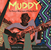 Muddy book cover