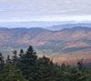 Landscape of trees and mountains