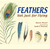 Feathers Not Just For Flying  book cover