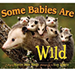 Some Babies Are Wild book cover