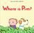 Where Is Pim?