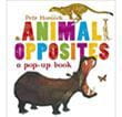 Animal Opposites | Children's Book