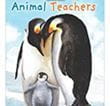 Animal Teachers | Children's Book