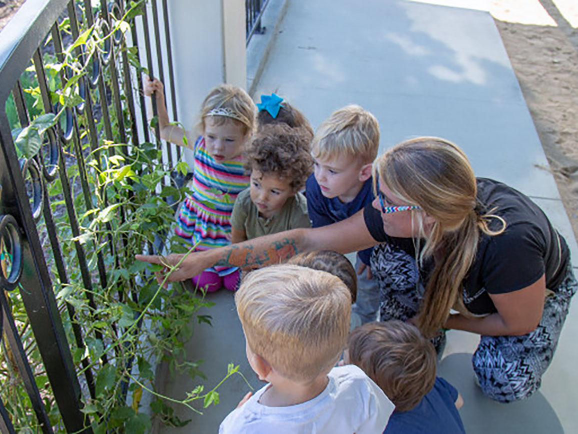Teacher and group of toddlers observing a plant outside