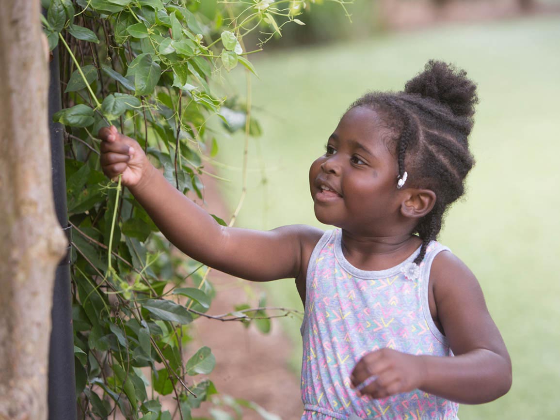 A toddler girl playing with a tree