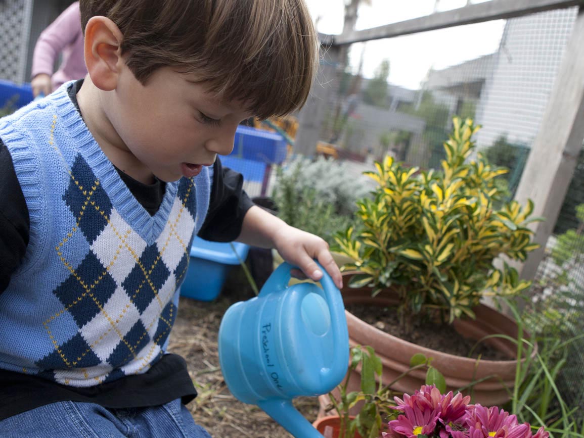 Preschool boy watering flowers in a garden