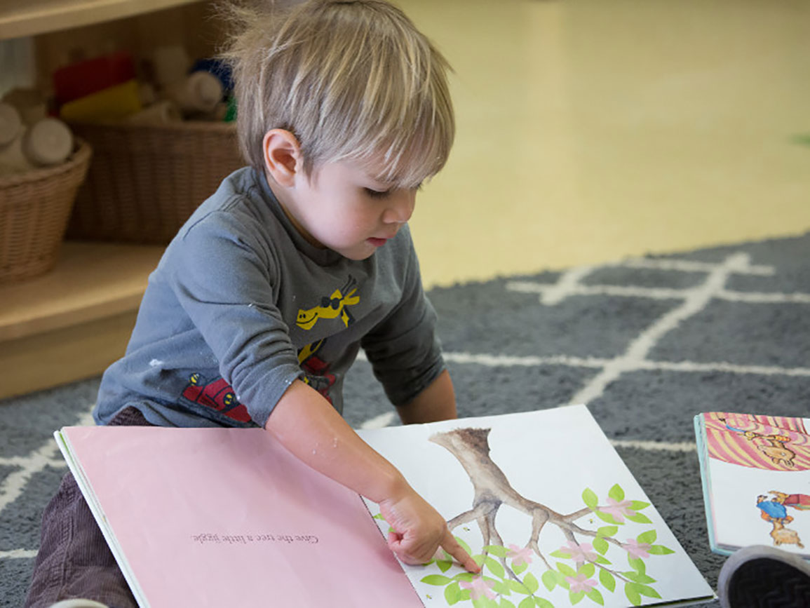 Preschool boy reading a book