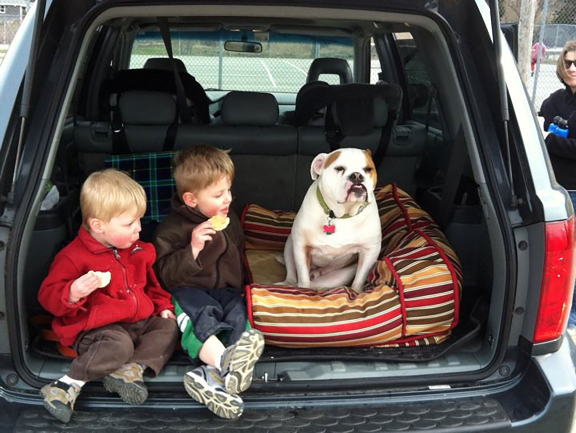 2 brothers sitting with their family dog in the trunk of their car