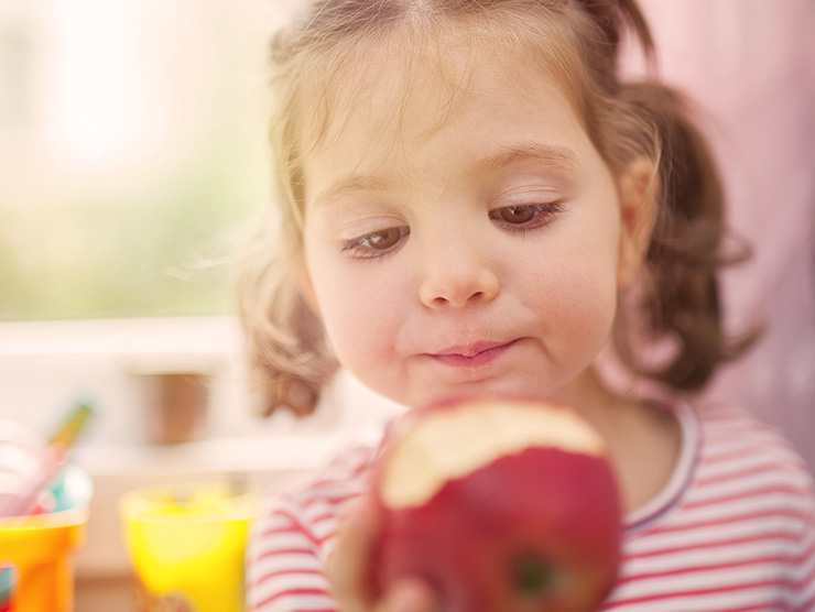 Little girl holding and examining an apple at day care 