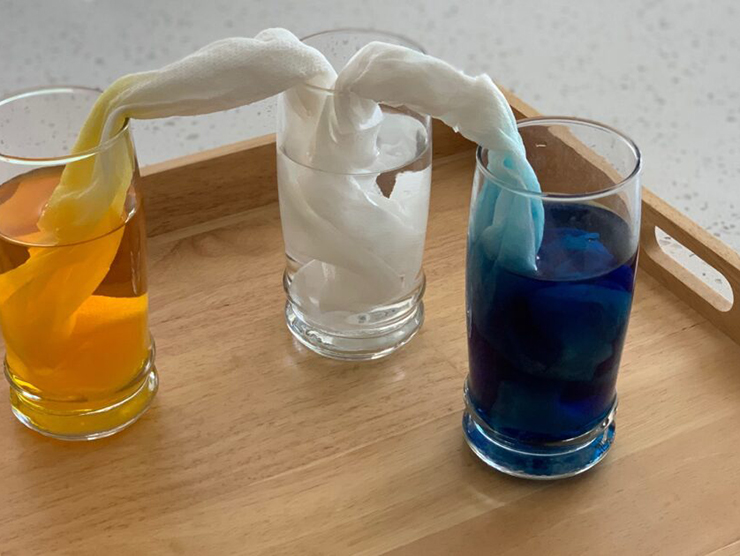color mixing science project for kids to preform from home to observe cause and effect 