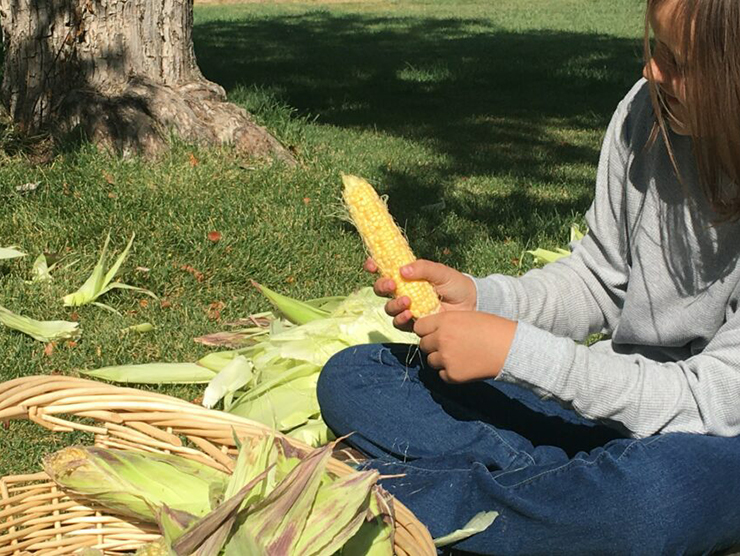 Young girl peeling corn outside to help her peers