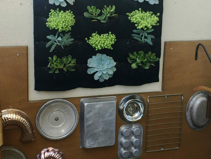 Plants and other gardening tools hanging on the wall at day care 