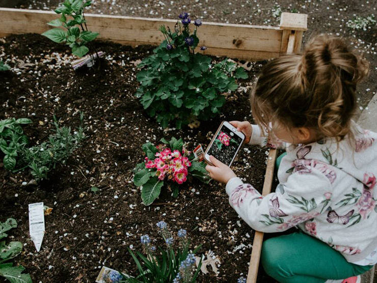 Toddler planting flowers at a garden at Bright Horizons day care