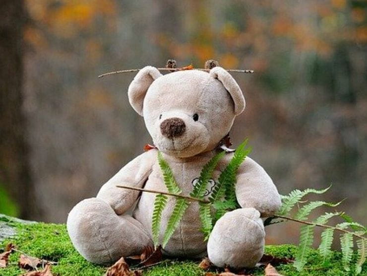 A stuffed teddy bear outside on a tree stump