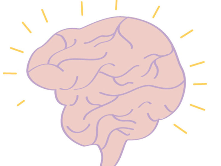 Icon of a brain representing brain building 