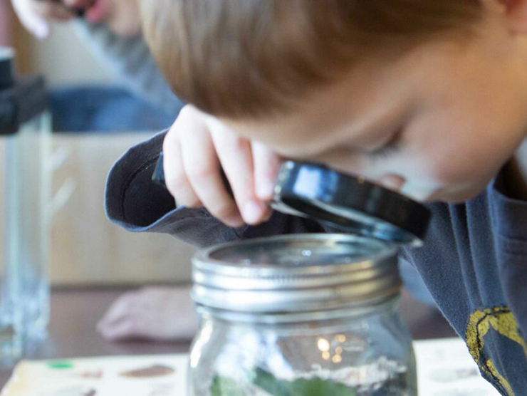 Child observing an earth worm in a jar 