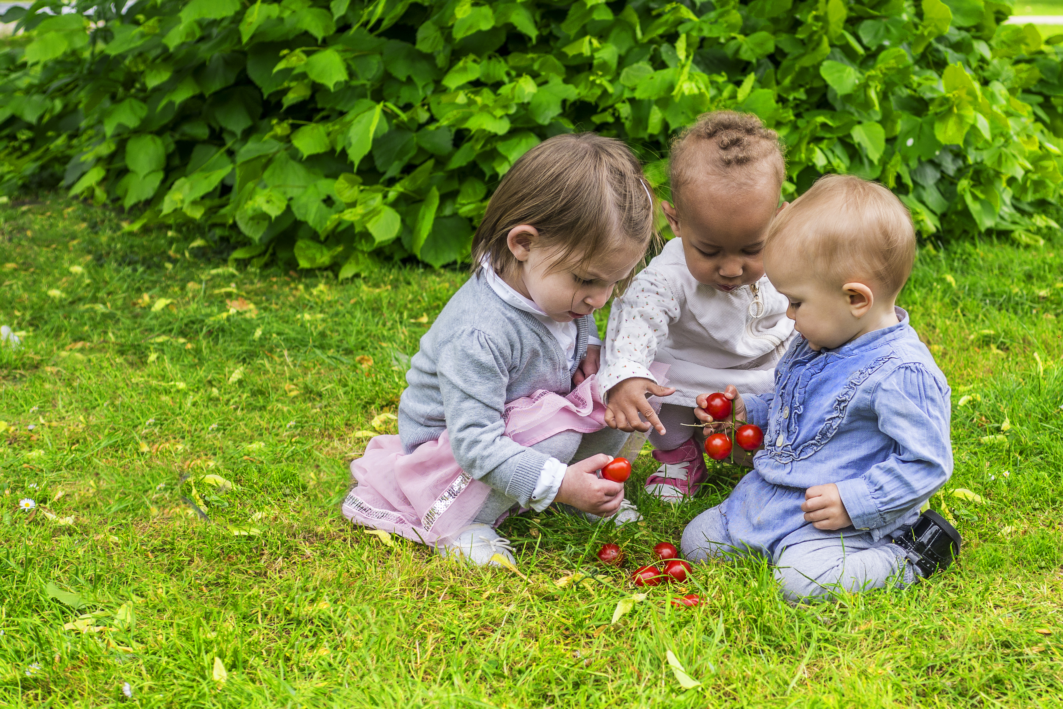 Children teaching kindness