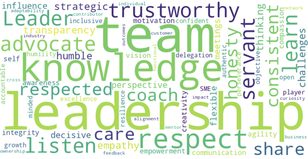 leadership word cloud