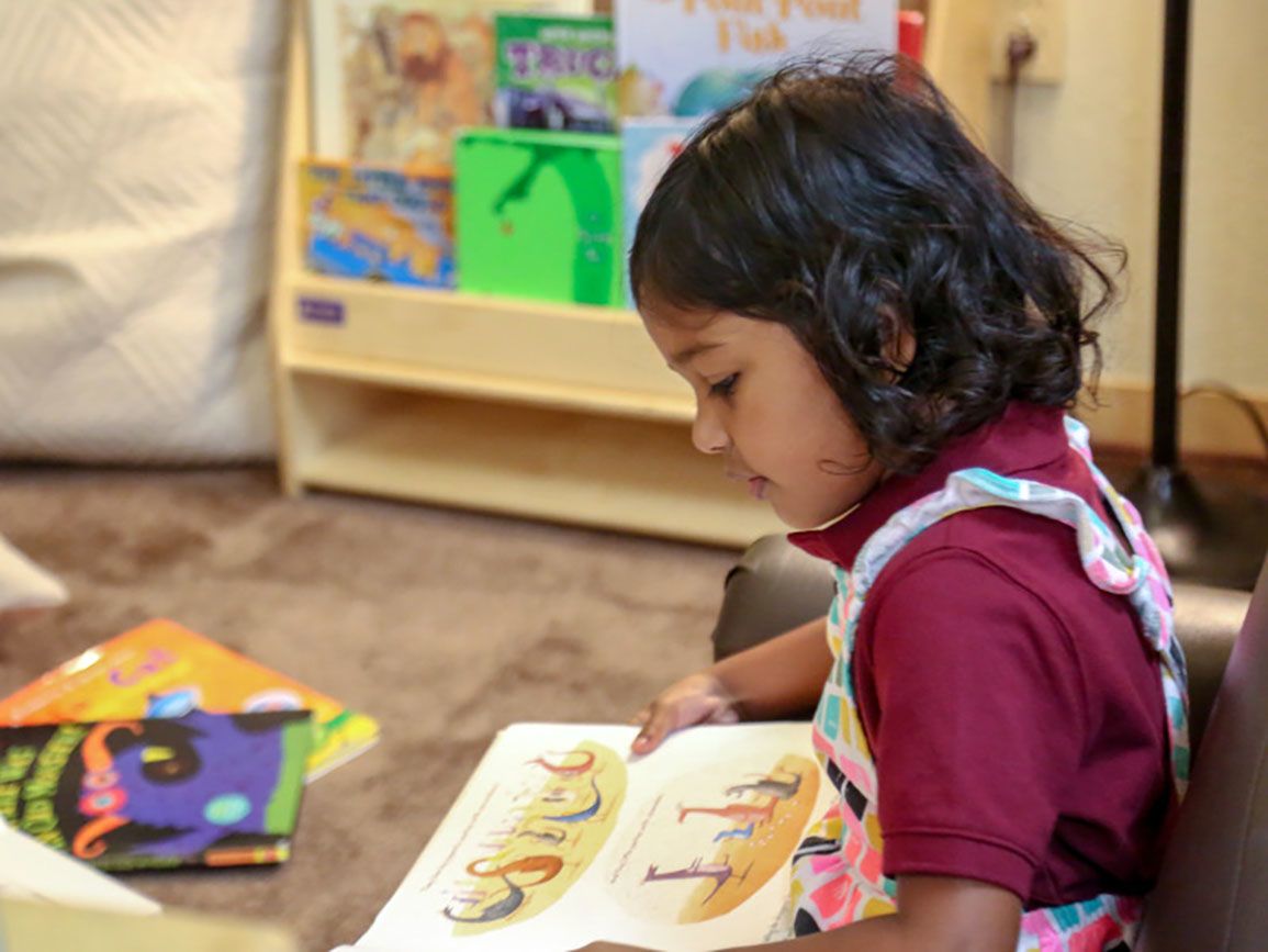 Young girl reading in the library during the summer