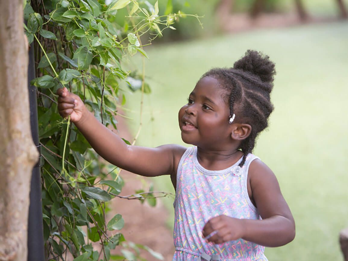 Preschool girl admiring a vine outside