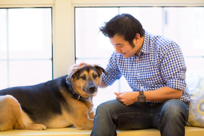 Take Your Dog To Work Day